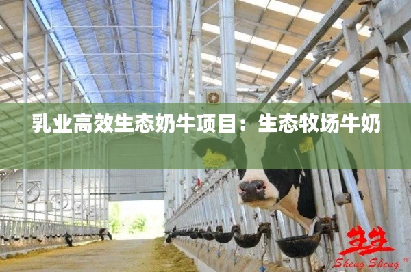 乳业高效生态奶牛项目：生态牧场牛奶 