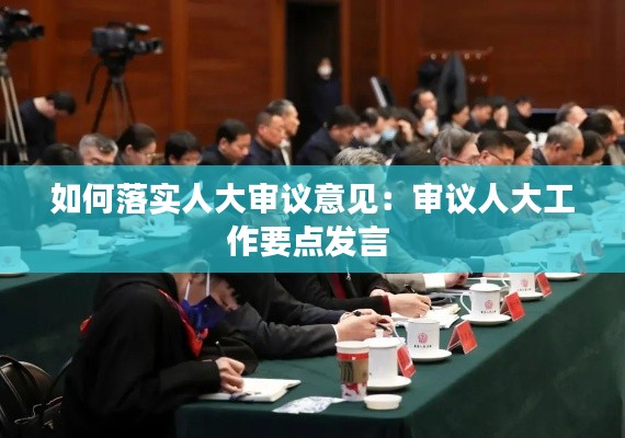 如何落实人大审议意见：审议人大工作要点发言 