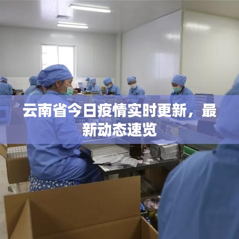 云南省今日疫情实时更新，最新动态速览