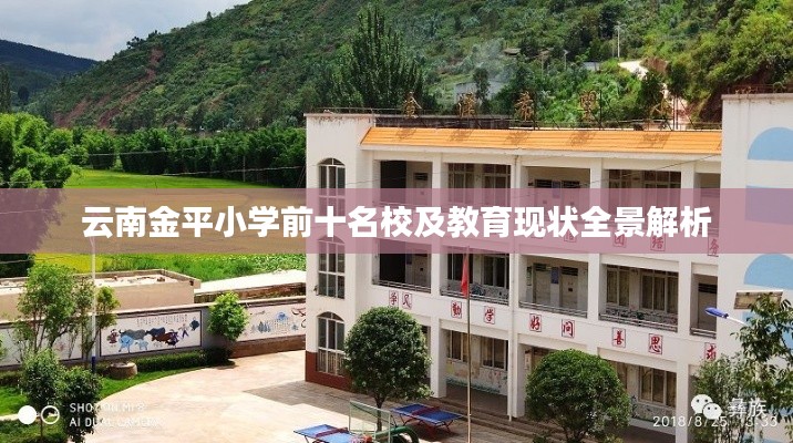 云南金平小学前十名校及教育现状全景解析