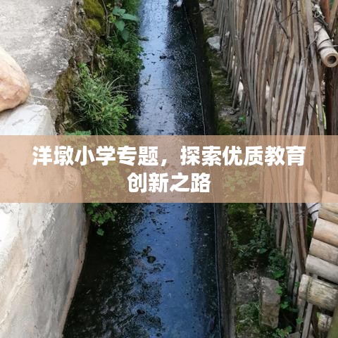 洋墩小学专题，探索优质教育创新之路