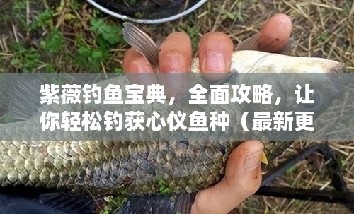 紫薇钓鱼宝典，全面攻略，让你轻松钓获心仪鱼种（最新更新）