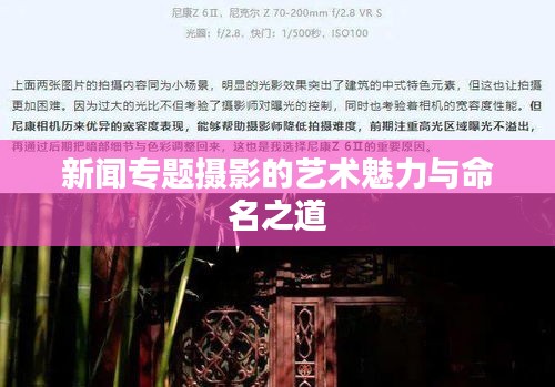 新闻专题摄影的艺术魅力与命名之道