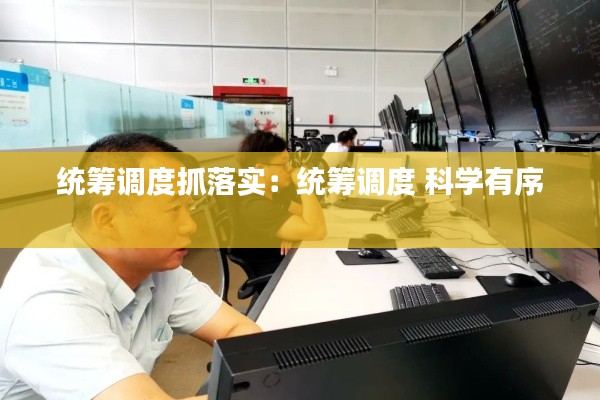 统筹调度抓落实：统筹调度 科学有序 