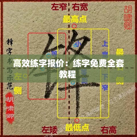 高效练字报价：练字免费全套教程 