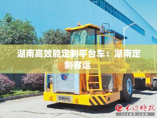 湖南高效能定制平台车：湖南定制客运 