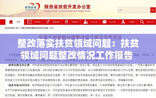 整改落实扶贫领域问题：扶贫领域问题整改情况工作报告 