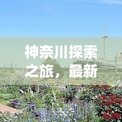 神奈川探索之旅，最新打卡攻略与消息一网打尽