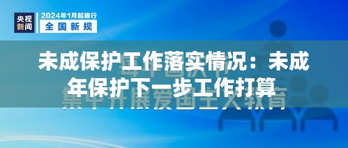 未成保护工作落实情况：未成年保护下一步工作打算 