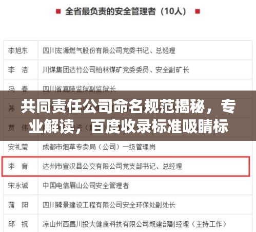 共同责任公司命名规范揭秘，专业解读，百度收录标准吸睛标题！