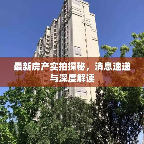 最新房产实拍探秘，消息速递与深度解读