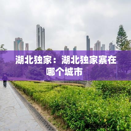 独学寡闻 第2页