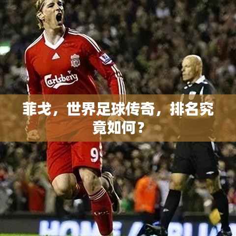 菲戈，世界足球传奇，排名究竟如何？