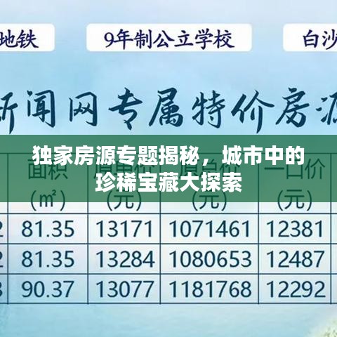 独家房源专题揭秘，城市中的珍稀宝藏大探索