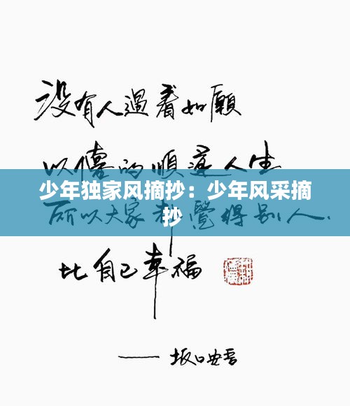 少年独家风摘抄：少年风采摘抄 
