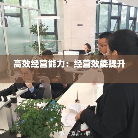 高效经营能力：经营效能提升 