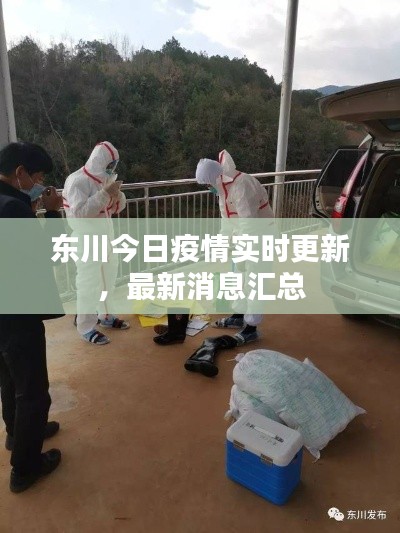 东川今日疫情实时更新，最新消息汇总