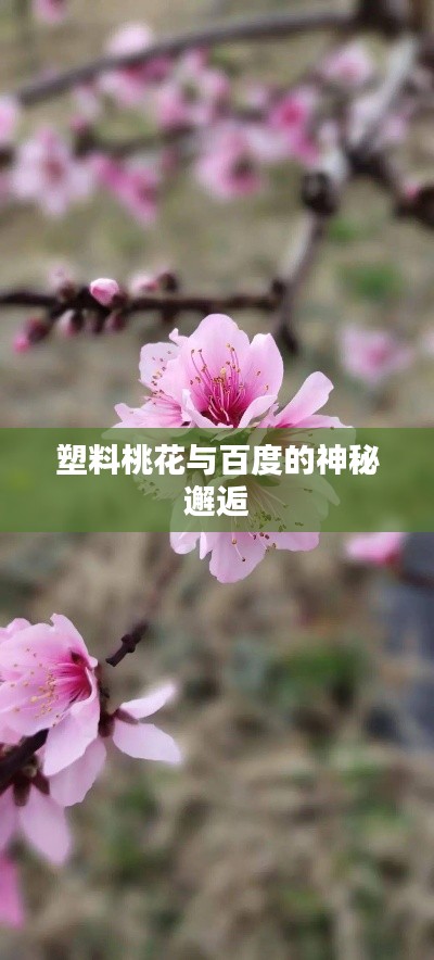 塑料桃花与百度的神秘邂逅