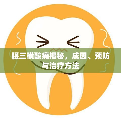 腰三横酸痛揭秘，成因、预防与治疗方法