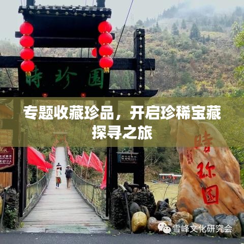 专题收藏珍品，开启珍稀宝藏探寻之旅