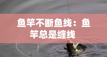 鱼竿不断鱼线：鱼竿总是缠线 