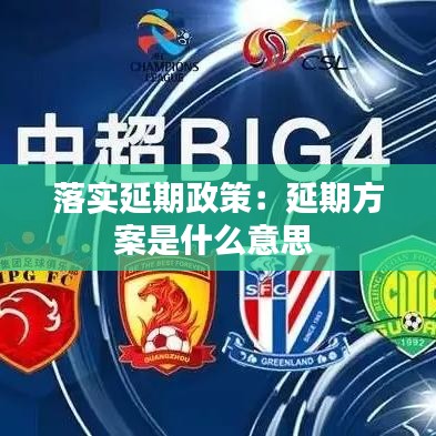 落实延期政策：延期方案是什么意思 