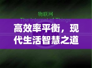高效率平衡，现代生活智慧之道探寻
