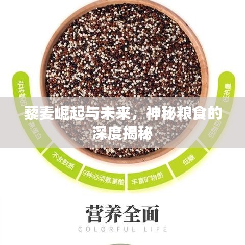萍水相逢 第2页