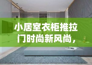 小居室衣柜推拉门时尚新风尚，实用之选，潮流设计亮相！