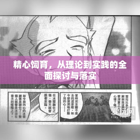 精心饲育，从理论到实践的全面探讨与落实