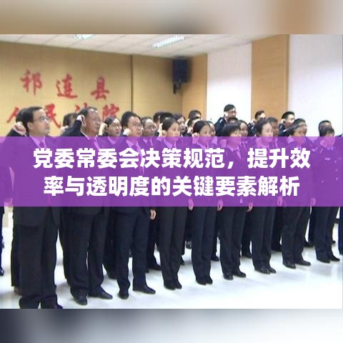党委常委会决策规范，提升效率与透明度的关键要素解析