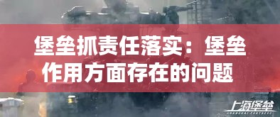 堡垒抓责任落实：堡垒作用方面存在的问题 