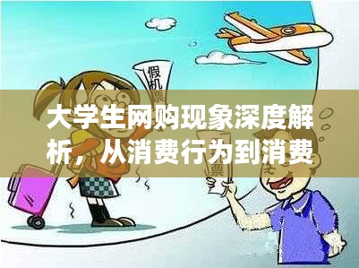 大学生网购现象深度解析，从消费行为到消费心理的全面剖析