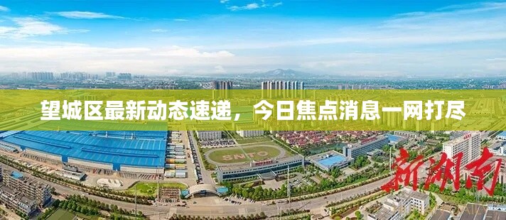 望城区最新动态速递，今日焦点消息一网打尽