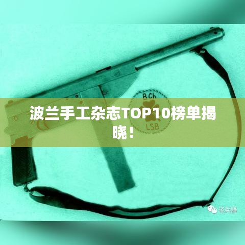 波兰手工杂志TOP10榜单揭晓！
