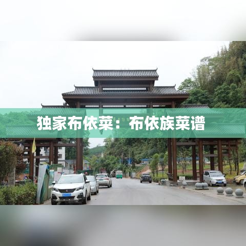 独家布依菜：布依族菜谱 