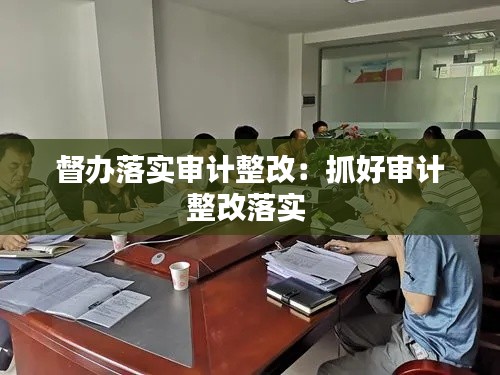 督办落实审计整改：抓好审计整改落实 