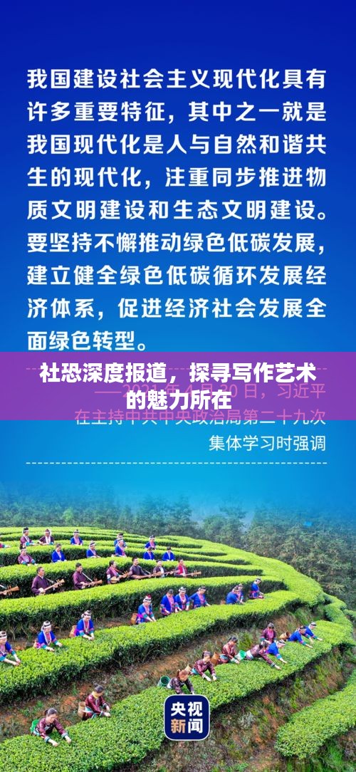 社恐深度报道，探寻写作艺术的魅力所在