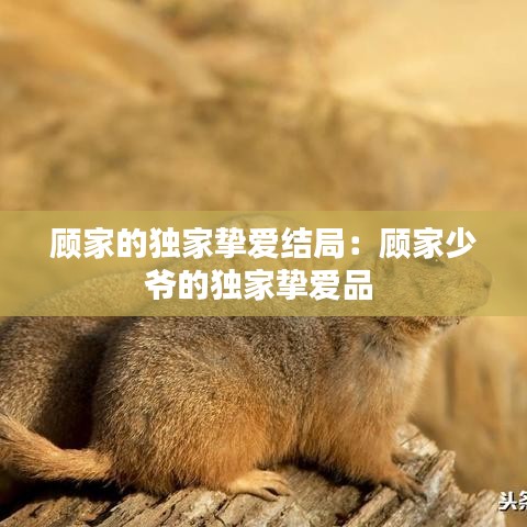 顾家的独家挚爱结局：顾家少爷的独家挚爱品 