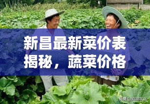 新昌最新菜价表揭秘，蔬菜价格动态一网打尽