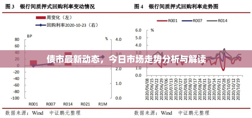 债市最新动态，今日市场走势分析与解读