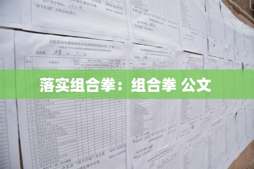 落实组合拳：组合拳 公文 