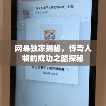 网易独家揭秘，传奇人物的成功之路探秘