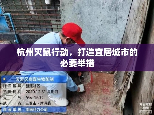 杭州灭鼠行动，打造宜居城市的必要举措