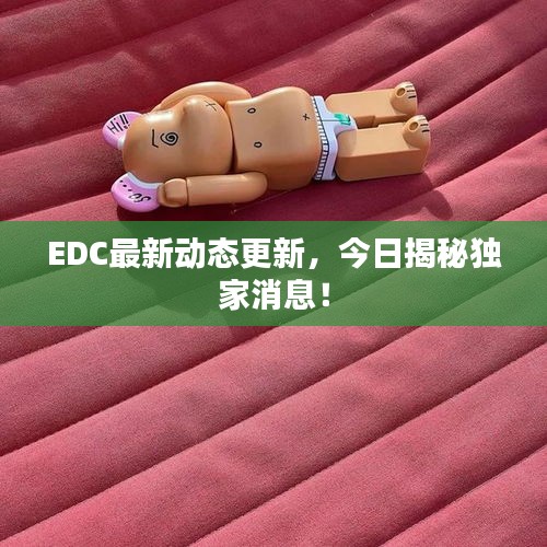 EDC最新动态更新，今日揭秘独家消息！