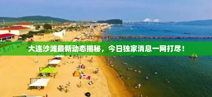 大连沙滩最新动态揭秘，今日独家消息一网打尽！