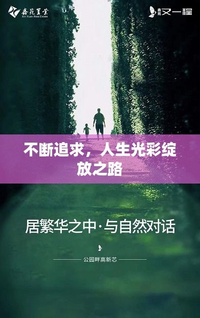 不断追求，人生光彩绽放之路