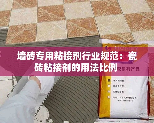 虫蚀鸟步 第2页