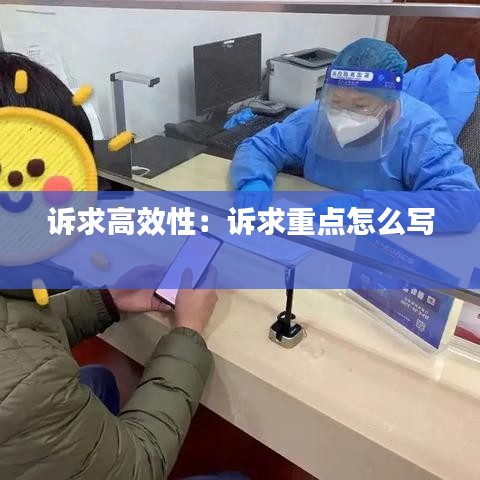 诉求高效性：诉求重点怎么写 