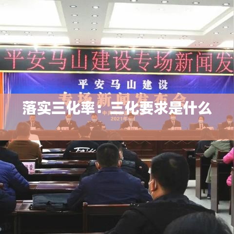 落实三化率：三化要求是什么 